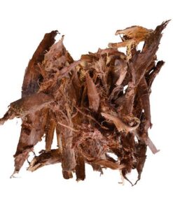 Buy mimosa hostilis , mimosa hostilis tree for sale, buy mimosa hostilis root bark near me, mimosa hostilis root bark powder for sale